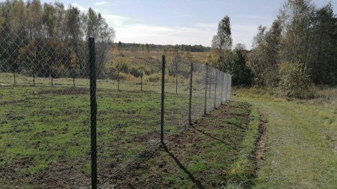 Фото забора из сетки рабица в натяжку